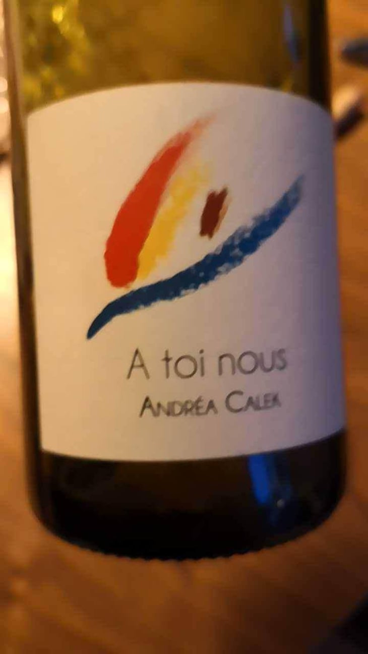 A Toi Nous - Andrea Calek - Andrea Calek et Stephana Nicolescu 