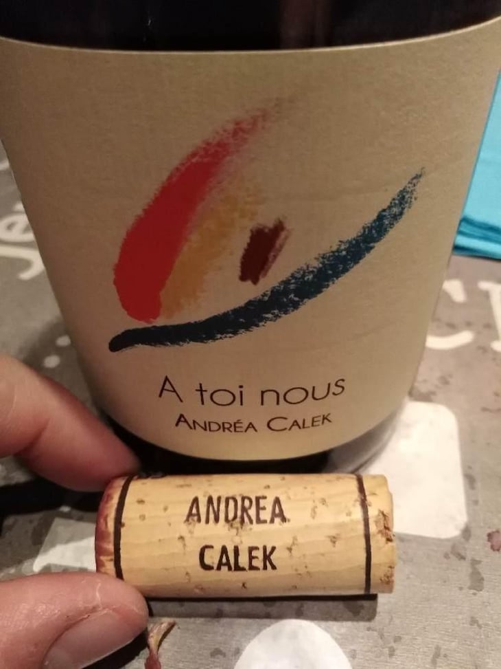 A Toi Nous - Andrea Calek - Andrea Calek et Stephana Nicolescu 