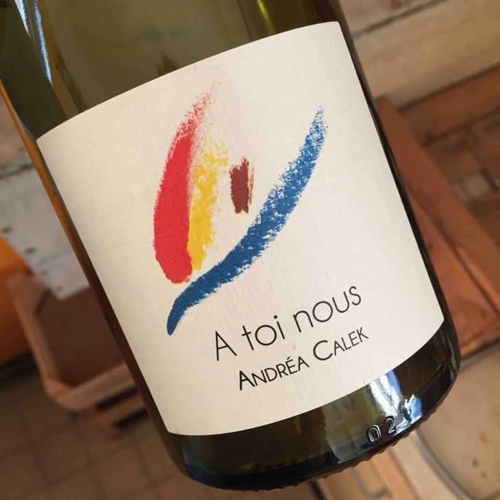 A Toi Nous - Andrea Calek - Andrea Calek et Stephana Nicolescu 
