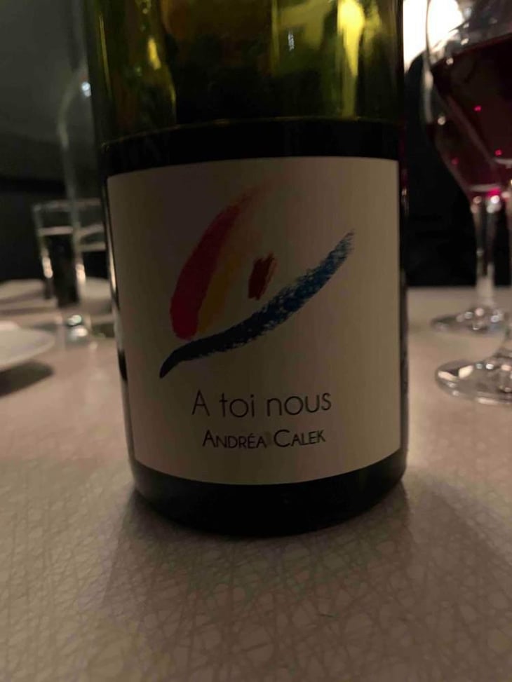 A Toi Nous - Andrea Calek - Andrea Calek et Stephana Nicolescu 