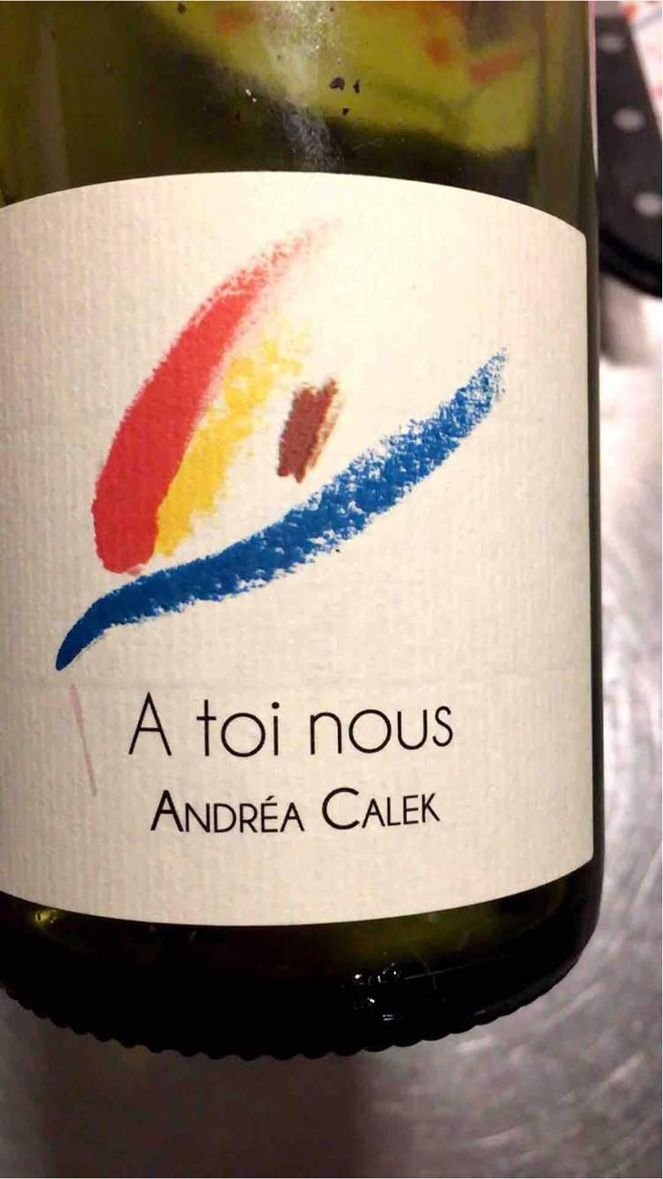 A Toi Nous - Andrea Calek - Andrea Calek et Stephana Nicolescu 