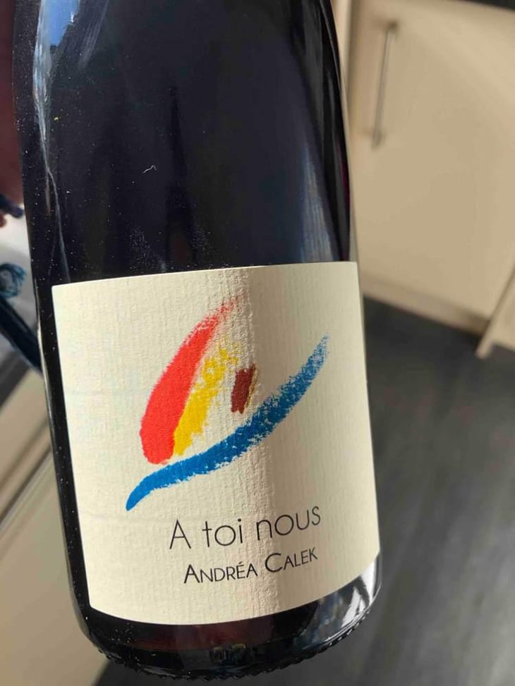A Toi Nous - Andrea Calek - Andrea Calek et Stephana Nicolescu 