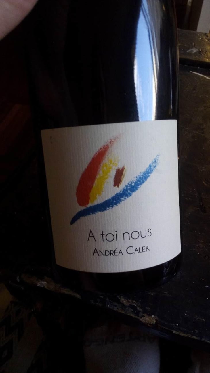 A Toi Nous - Andrea Calek - Andrea Calek et Stephana Nicolescu 