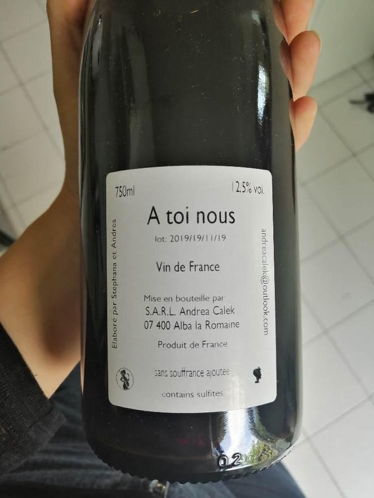 A Toi Nous - Andrea Calek - Andrea Calek et Stephana Nicolescu 