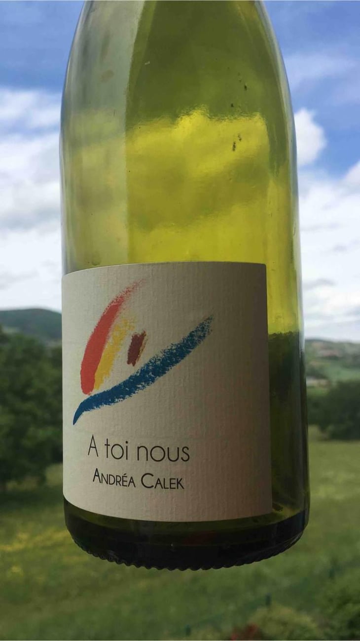 A Toi Nous - Andrea Calek - Andrea Calek et Stephana Nicolescu 