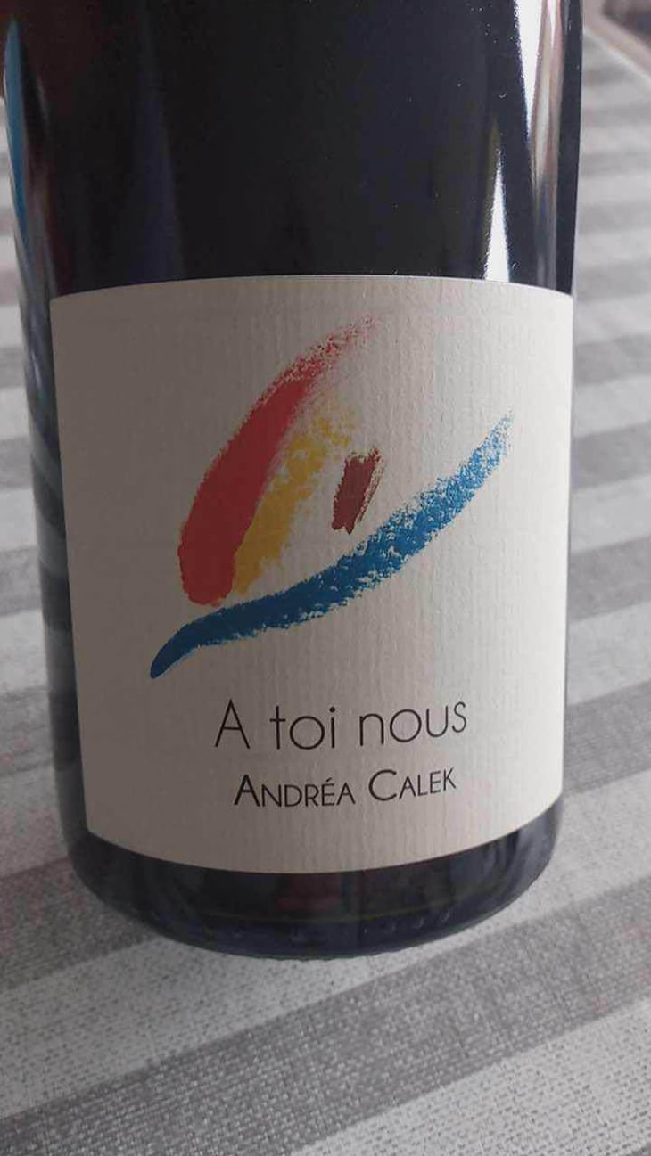 A Toi Nous - Andrea Calek - Andrea Calek et Stephana Nicolescu 