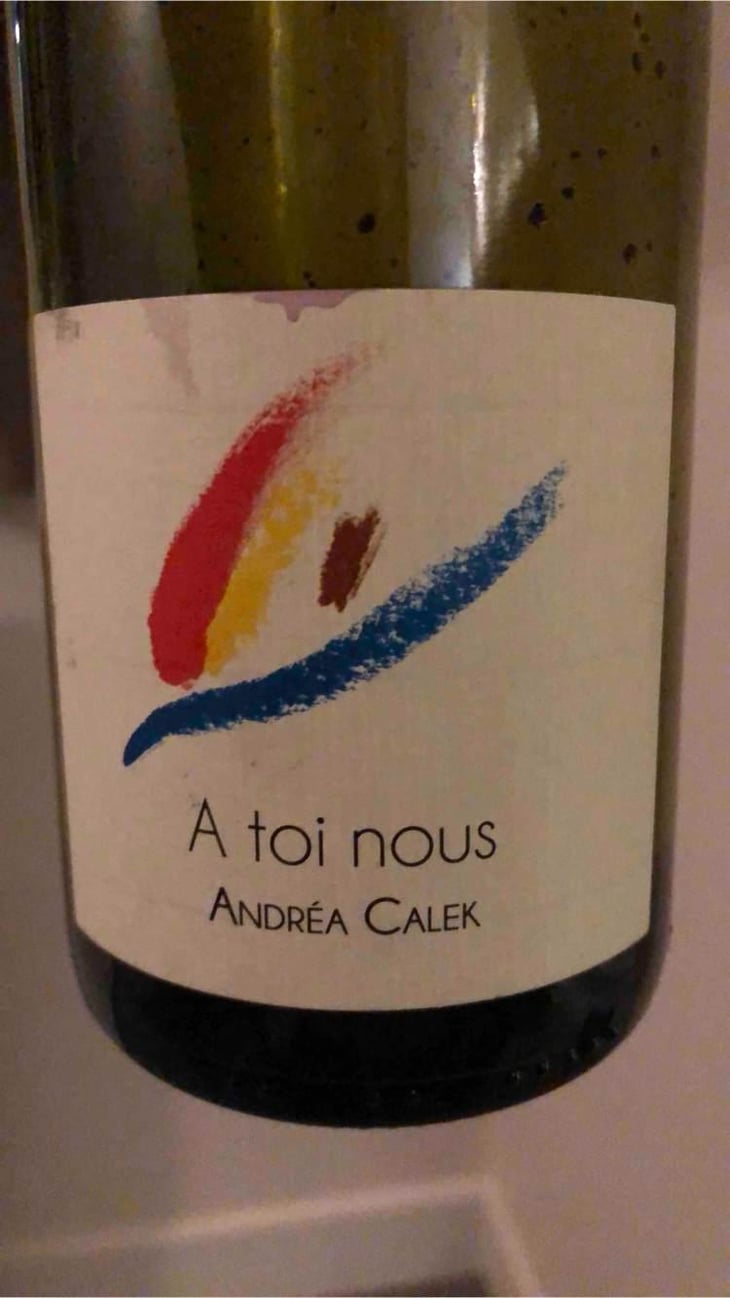 A Toi Nous - Andrea Calek - Andrea Calek et Stephana Nicolescu 