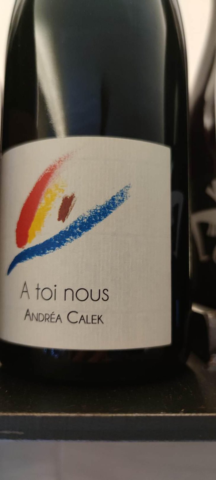 A Toi Nous - Andrea Calek - Andrea Calek et Stephana Nicolescu 