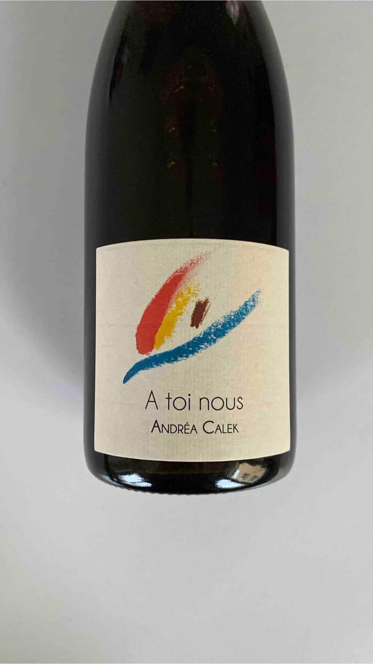 A Toi Nous - Andrea Calek - Andrea Calek et Stephana Nicolescu 