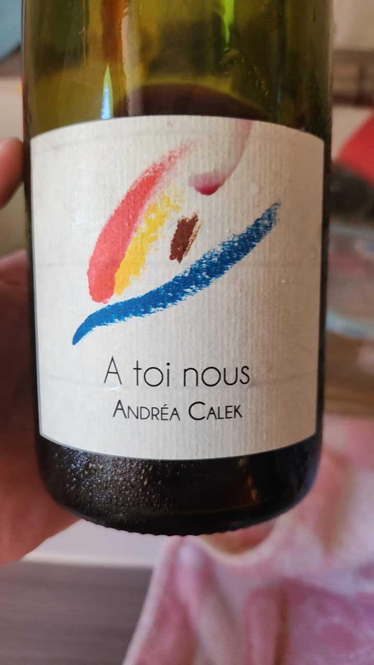 A Toi Nous - Andrea Calek - Andrea Calek et Stephana Nicolescu 