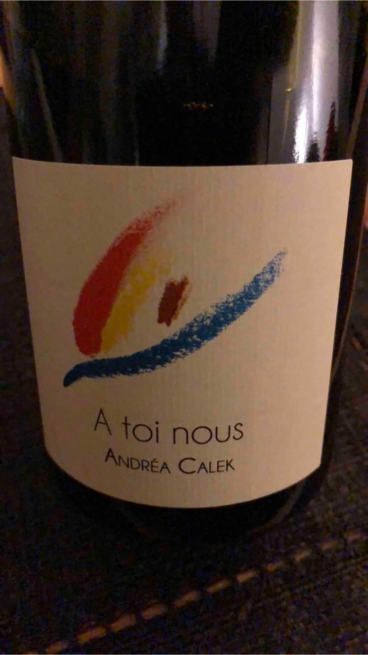 A Toi Nous - Andrea Calek - Andrea Calek et Stephana Nicolescu 