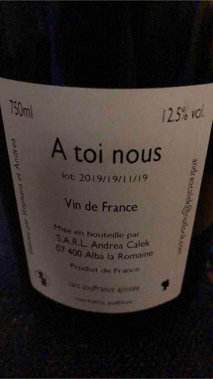 A Toi Nous - Andrea Calek - Andrea Calek et Stephana Nicolescu 