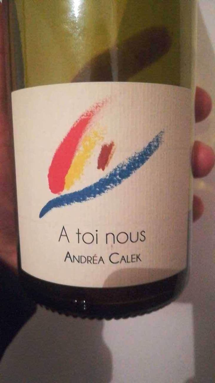 A Toi Nous - Andrea Calek - Andrea Calek et Stephana Nicolescu 