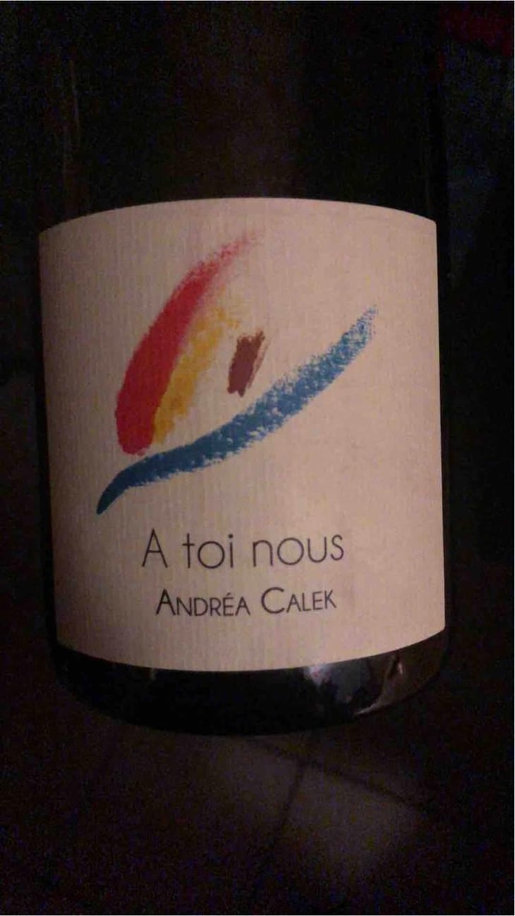 A Toi Nous - Andrea Calek - Andrea Calek et Stephana Nicolescu 