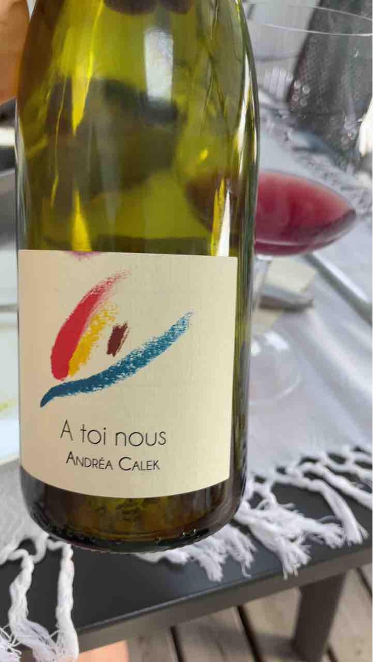 A Toi Nous - Andrea Calek - Andrea Calek et Stephana Nicolescu 