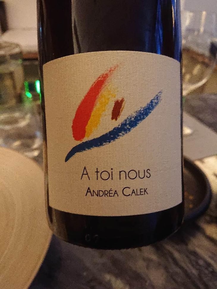 A Toi Nous - Andrea Calek - Andrea Calek et Stephana Nicolescu 