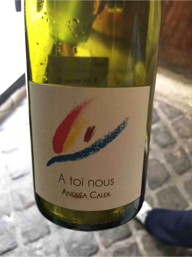A Toi Nous - Andrea Calek - Andrea Calek et Stephana Nicolescu 
