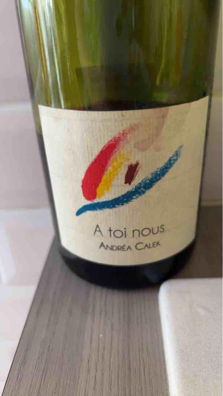 A Toi Nous - Andrea Calek - Andrea Calek et Stephana Nicolescu 