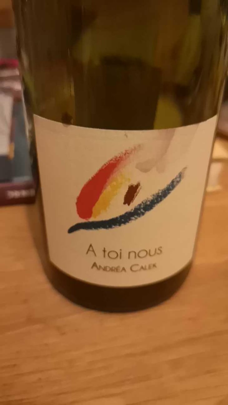 A Toi Nous - Andrea Calek - Andrea Calek et Stephana Nicolescu 