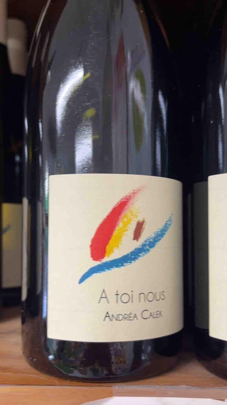 A Toi Nous - Andrea Calek - Andrea Calek et Stephana Nicolescu 