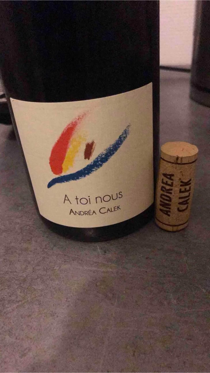 A Toi Nous II - Andrea Calek - Andrea Calek et Stephana Nicolescu 