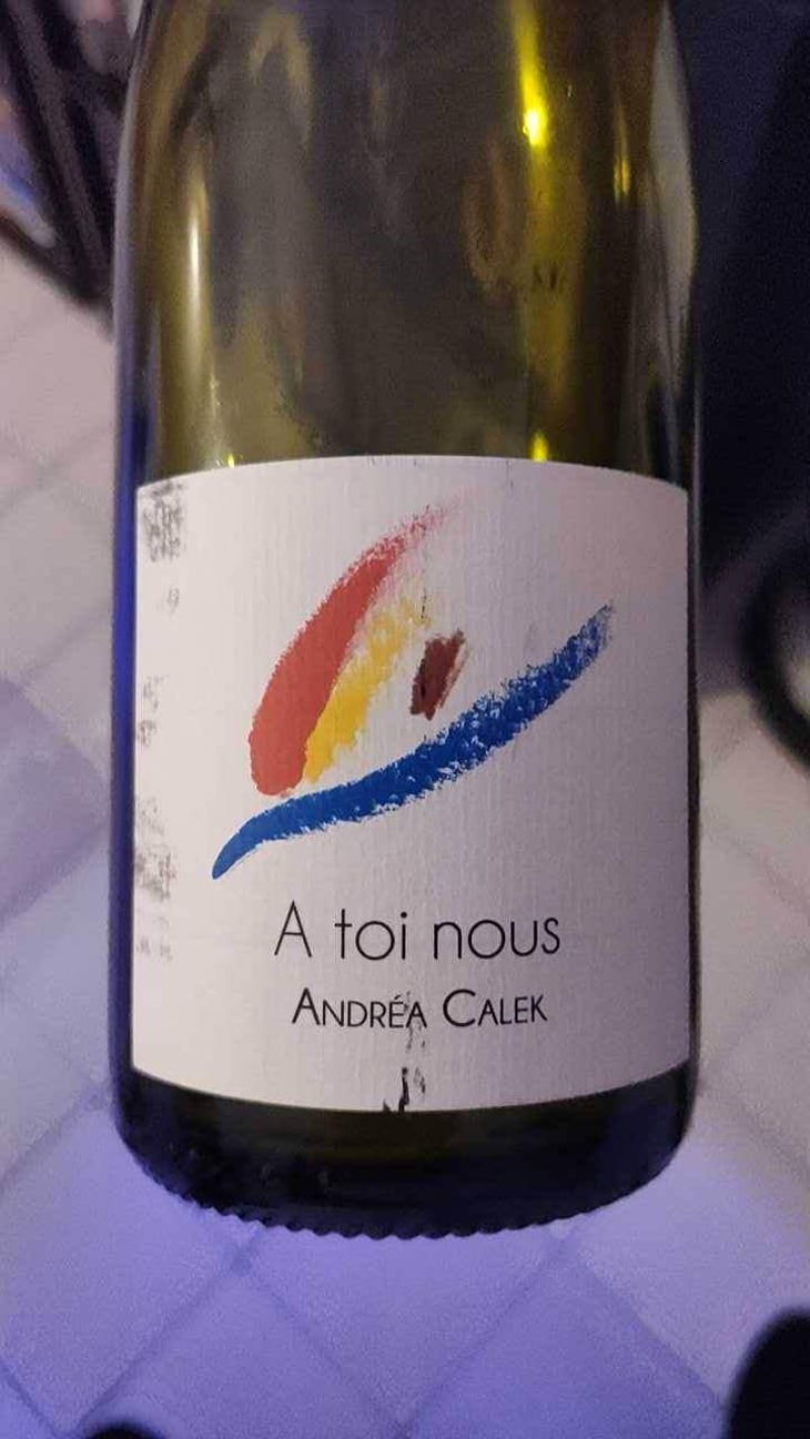A Toi Nous II - Andrea Calek - Andrea Calek et Stephana Nicolescu 
