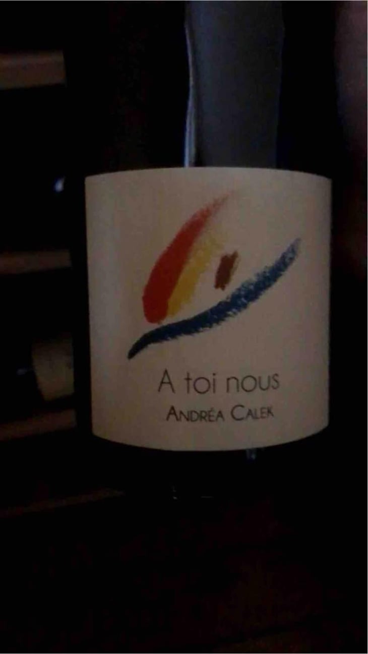 A Toi Nous II - Andrea Calek - Andrea Calek et Stephana Nicolescu 