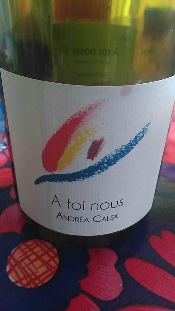 A Toi Nous II - Andrea Calek - Andrea Calek et Stephana Nicolescu 