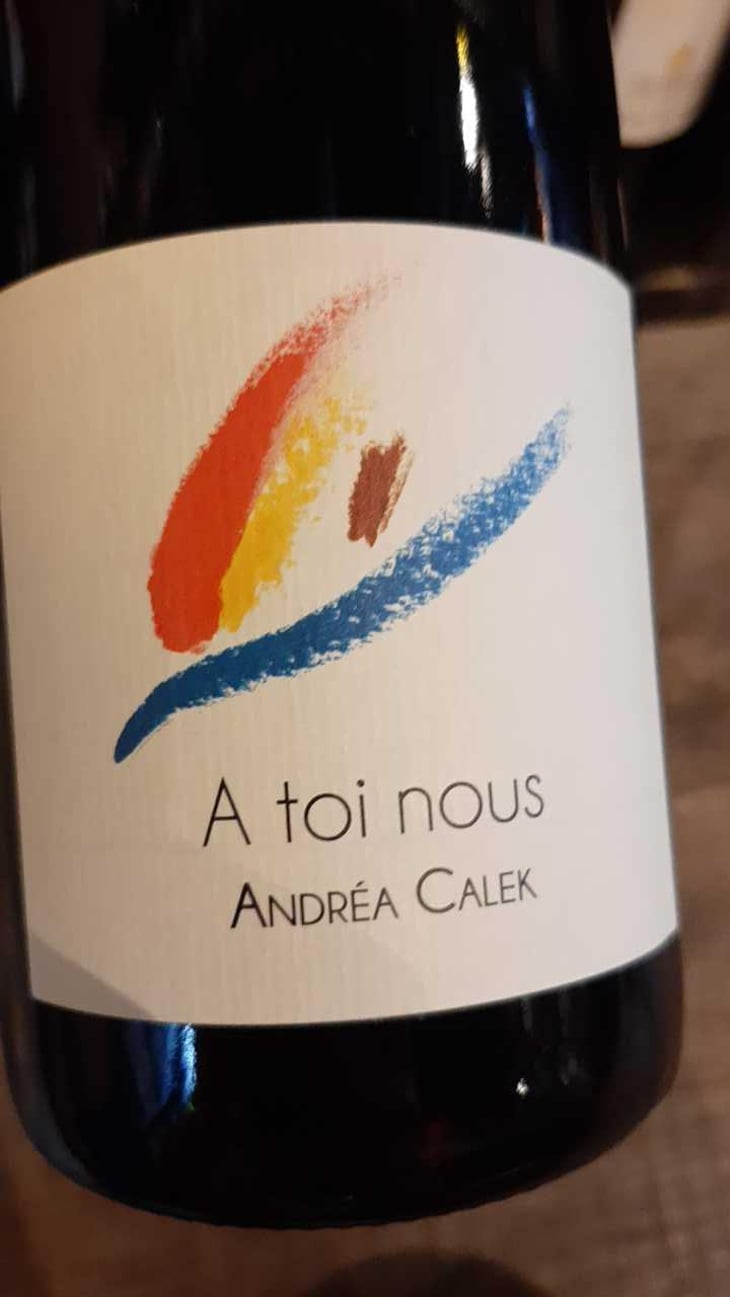A Toi Nous II - Andrea Calek - Andrea Calek et Stephana Nicolescu 