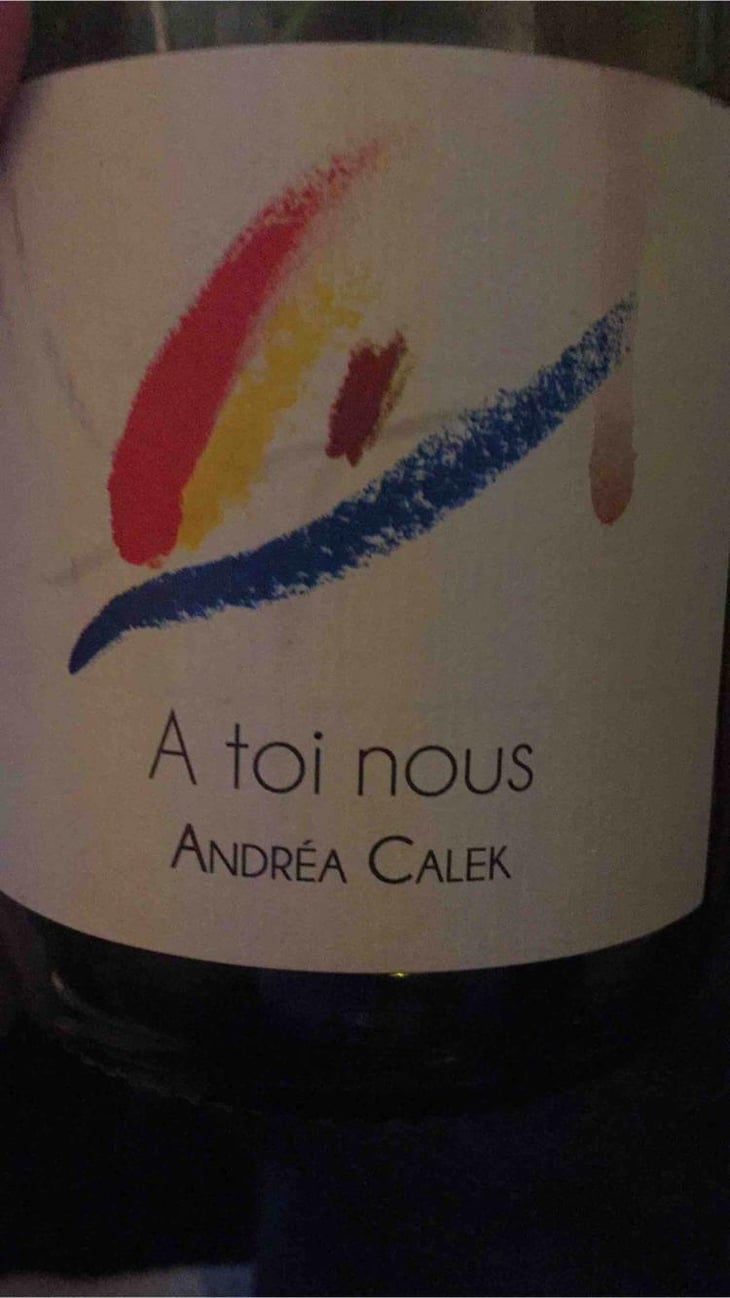 A Toi Nous II - Andrea Calek - Andrea Calek et Stephana Nicolescu 