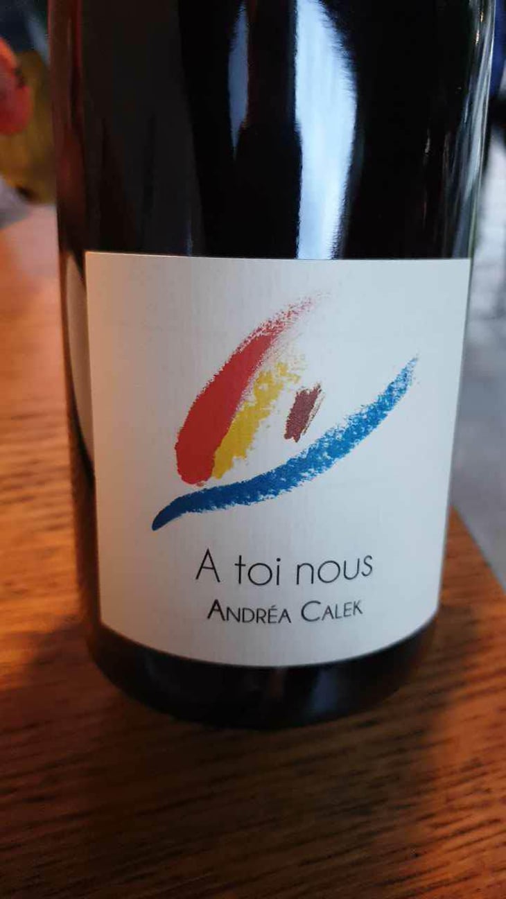 A Toi Nous II - Andrea Calek - Andrea Calek et Stephana Nicolescu 
