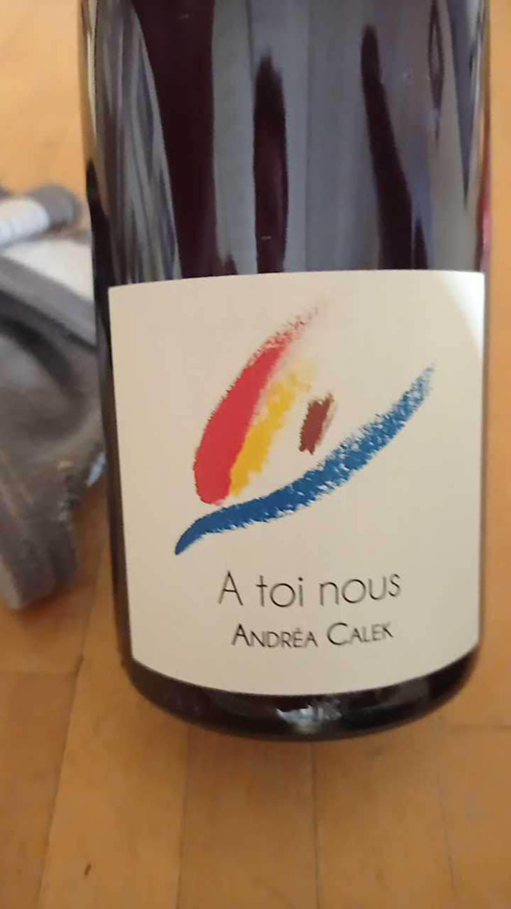 A Toi Nous II - Andrea Calek - Andrea Calek et Stephana Nicolescu 