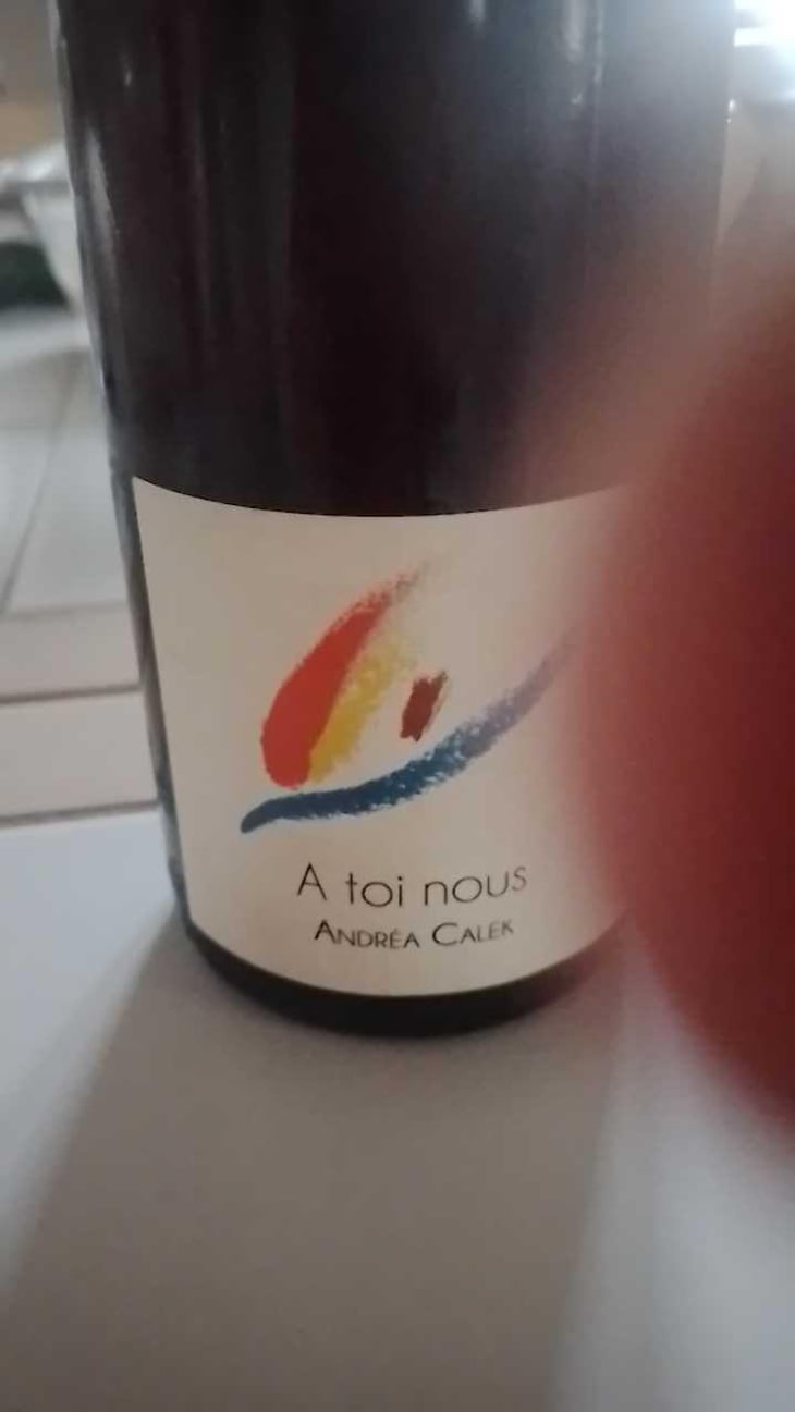 A Toi Nous II - Andrea Calek - Andrea Calek et Stephana Nicolescu 