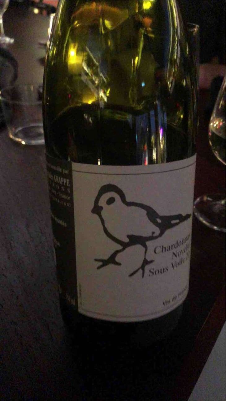 Les Oiseaux De Passage - Didier Grappe - Didier et Jules Grappe 