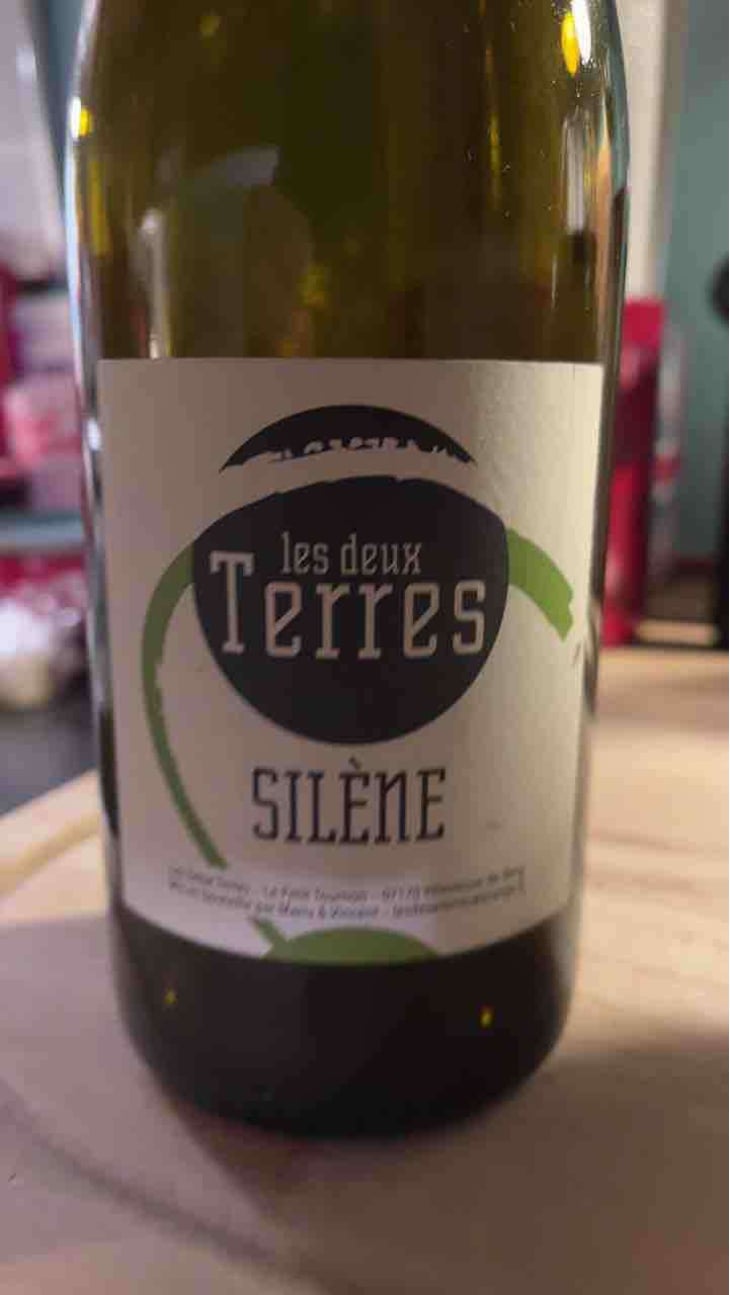 L'Adret - Les Deux Terres - Vincent Fargier & Emmanuel Cunin 