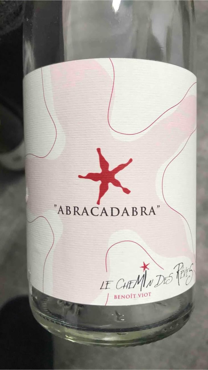 Abracadabra - Le Chemin Des Rêves - Benoit Viot 