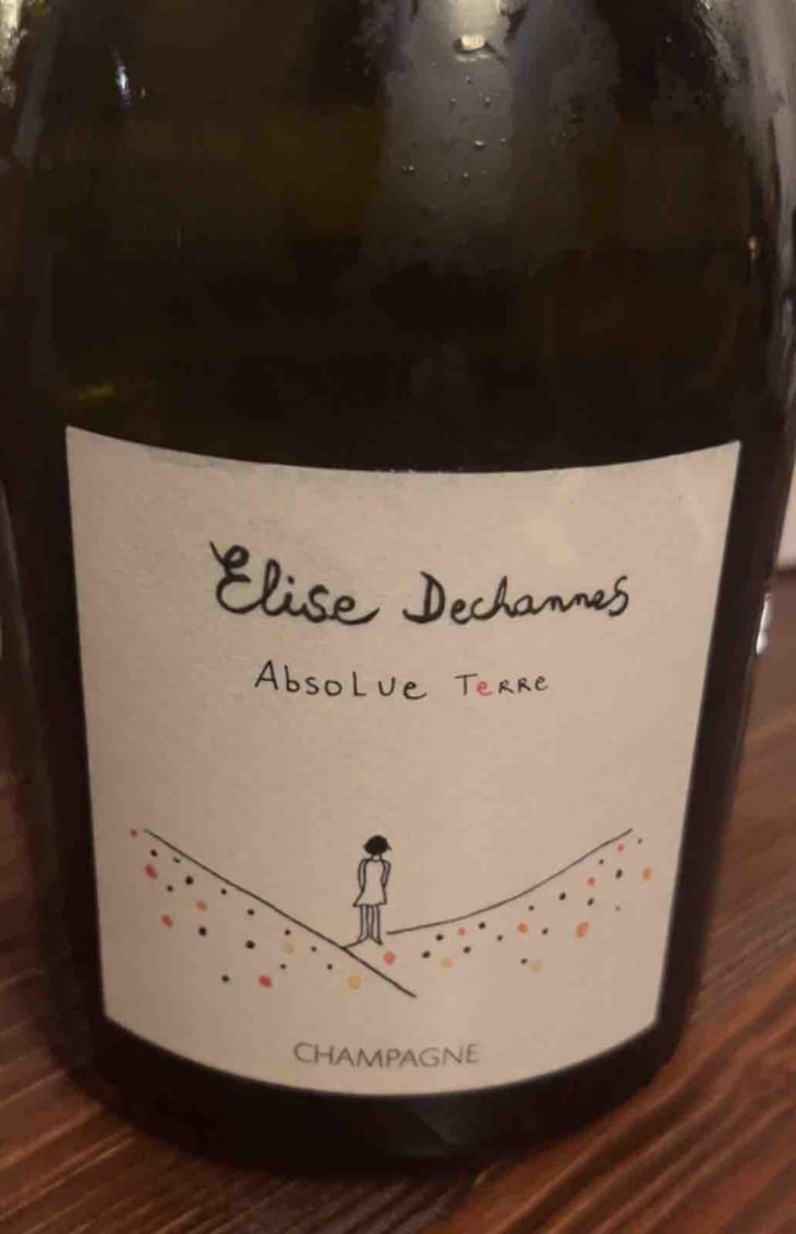 Absolue terre - Elise dechennes - Elise Dechannes -2020