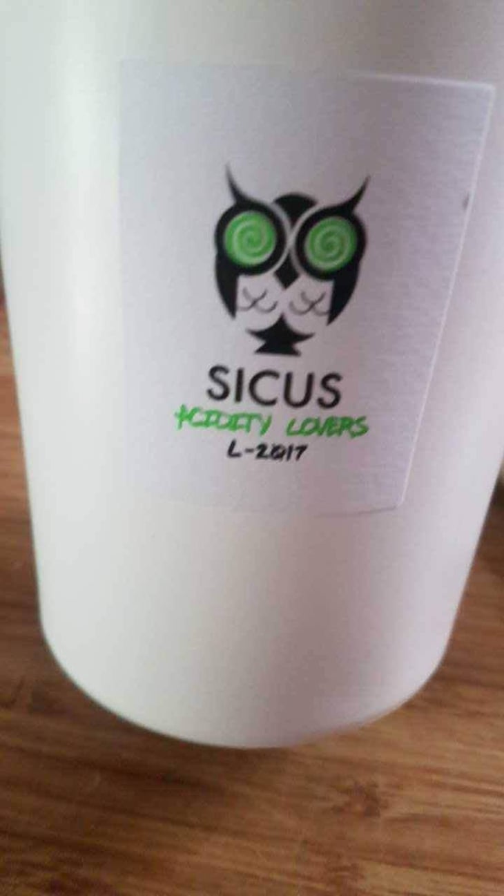 Acidity Lovers - Sicus - Eduard Pié 