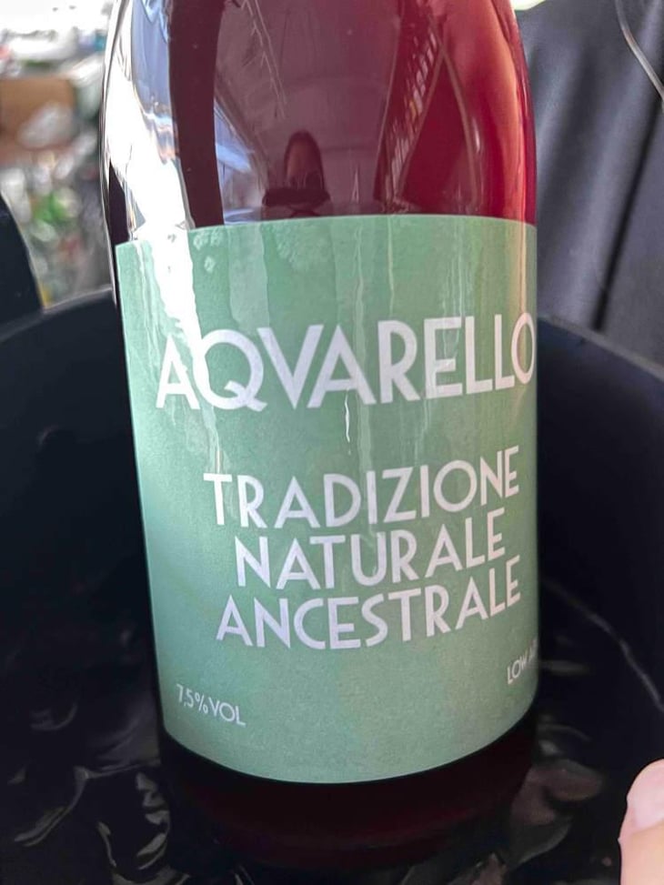 Acquarello - Chioccioli Altadonna - Chioccioli Altadonna -2021