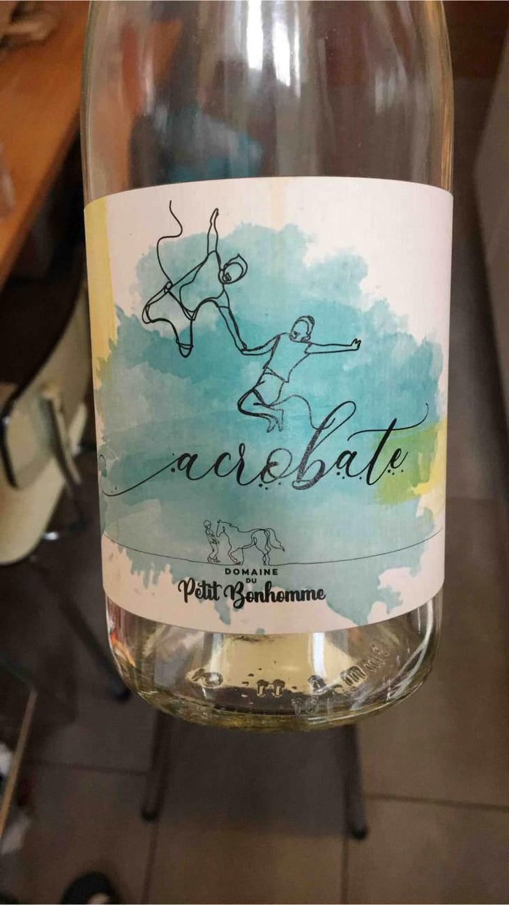 Acrobate - Domaine du petit bonhomme - Fabien Chanavas -2020