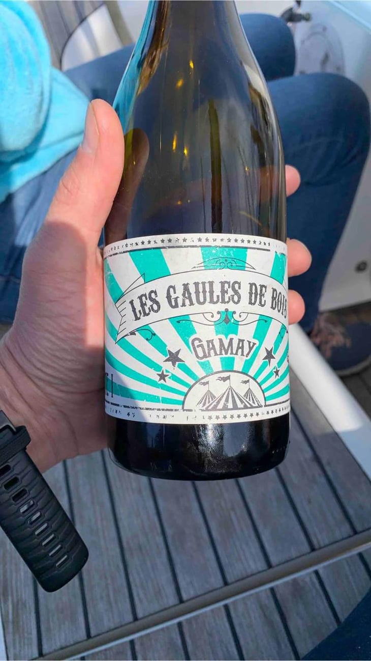 Acte I - Les Gaules De Bois - Romuald Cousy & Vincent Alexis 