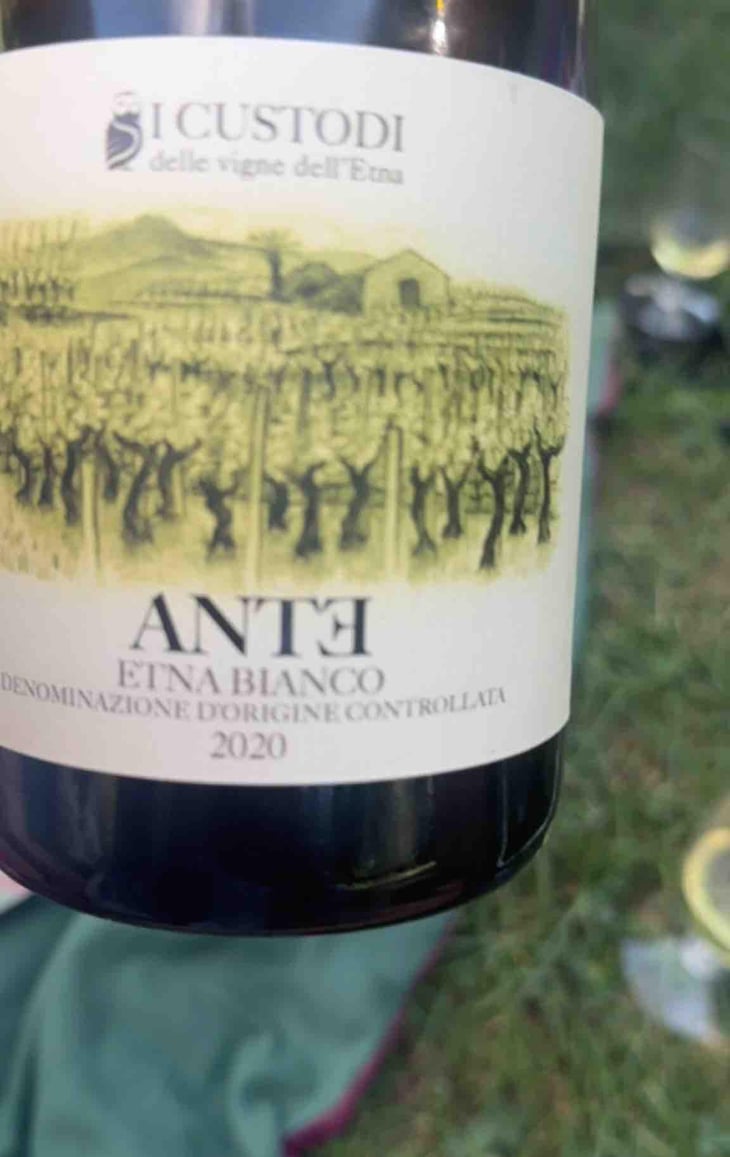 Aedes - I Custodi delle vigne dell'Etna - I Custodi -2021