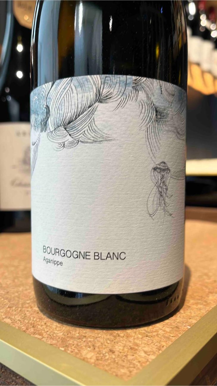 Aganippe - Les Horées - Catharina et Guilhem Sadde -2021