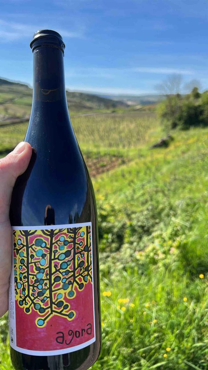 Agora - Le vignoble du Pagure - Hugo Courvoisier 