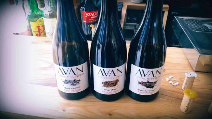 Avan - Ribera Del Duero - Juan Manuel Burgos 
