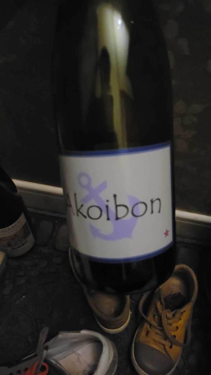 Akoibon - Domaine Yoyo - Laurence Manya Krief 