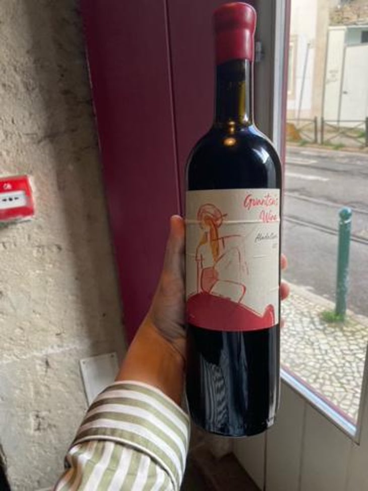 Gvantsa´s Wine Aladasturi - Baia's Wine - Gvantsa ,Giorgi & Baia Abuladze -2019