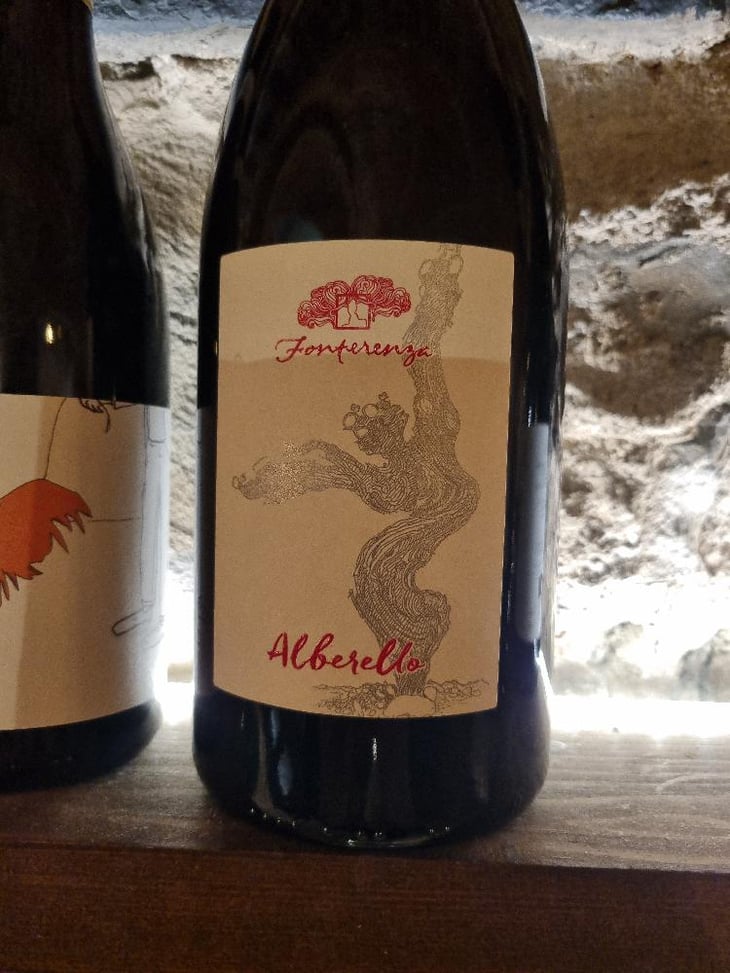 Alberello - Azienda Agricola Fonterenza - Margherita & Francesca Padovani 