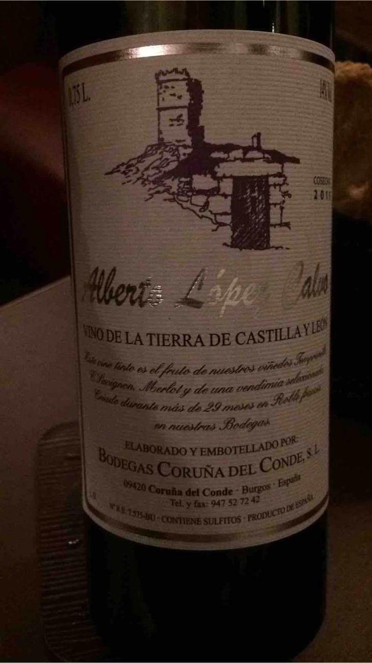 Alberto Lopez Calvo - Bodegas Coruña del Condé - Angelica Amo Lopez & Julien Ben Hamou Lopez 