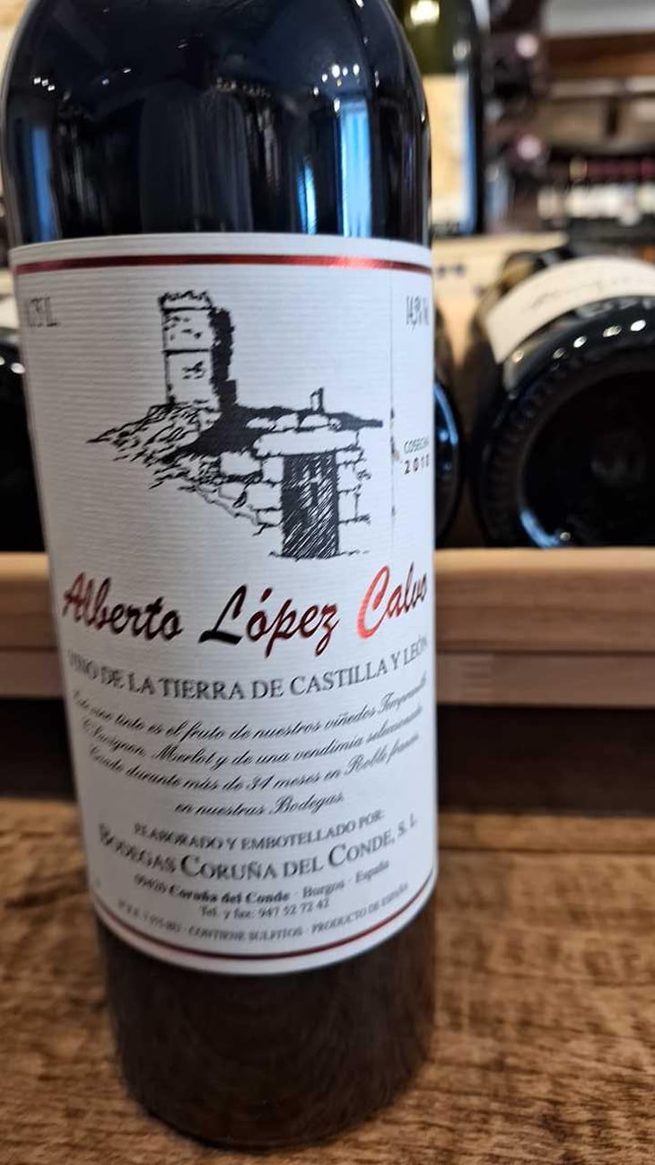 Alberto Lopez Calvo - Bodegas Coruña del Condé - Angelica Amo Lopez & Julien Ben Hamou Lopez 
